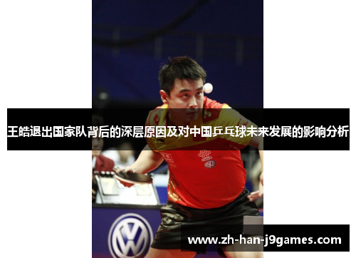 王皓退出国家队背后的深层原因及对中国乒乓球未来发展的影响分析 王皓退出国家队背后的深层原因及对中国乒乓球未来发展的影响分析